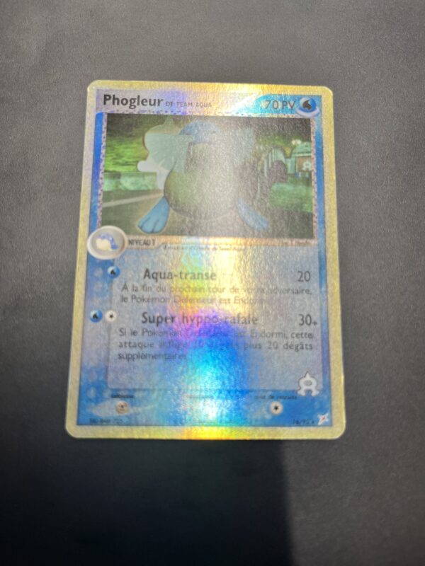Phogleur reverse 16/95 Team magma vs Team Aqua – Image 2
