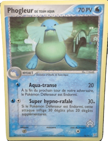 Phogleur reverse 16/95 Team magma vs Team Aqua est un moyen simple et original de collectionner votre série préféré. Les cartes sont protégées.