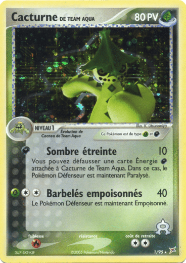 Cacturne Reverse 01/95 Team magma vs Team Aqua est un moyen simple et original de collectionner votre série préféré. Les cartes sont protégées.