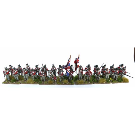 Napoleonic British Waterloo Infantry Centre companies est l'une des superbes boites d'infanterie de Vitrix pour revivre les grandes campagnes napoléonnienes