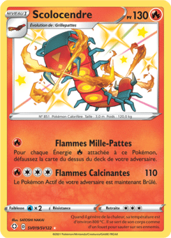Notre section cartes à l'unité est un moyen simple et original de collectionner votre série préféré. Les cartes sont envoyées protégées.