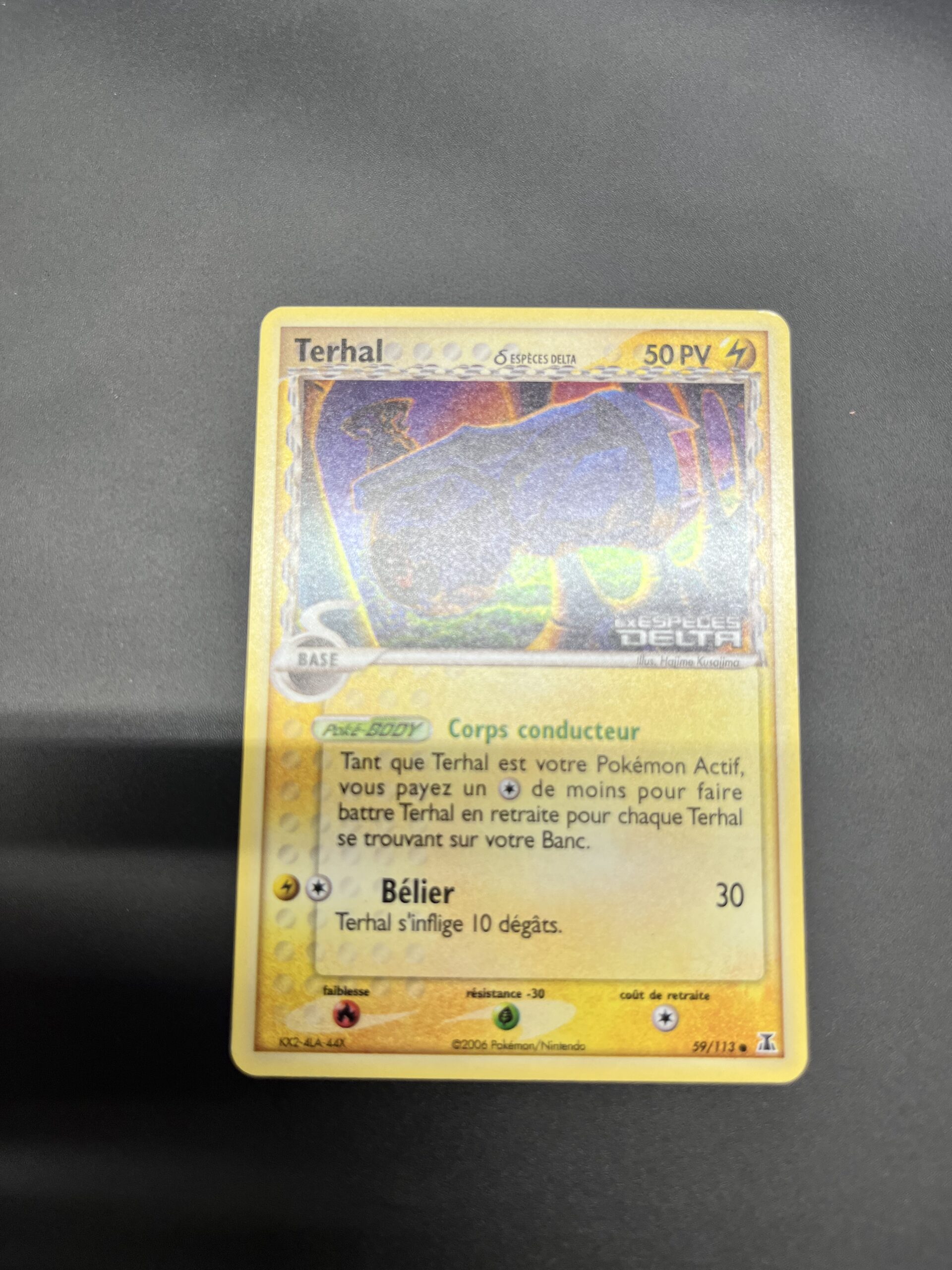 Terhal reverse 59/113 Espèce delta – Image 2