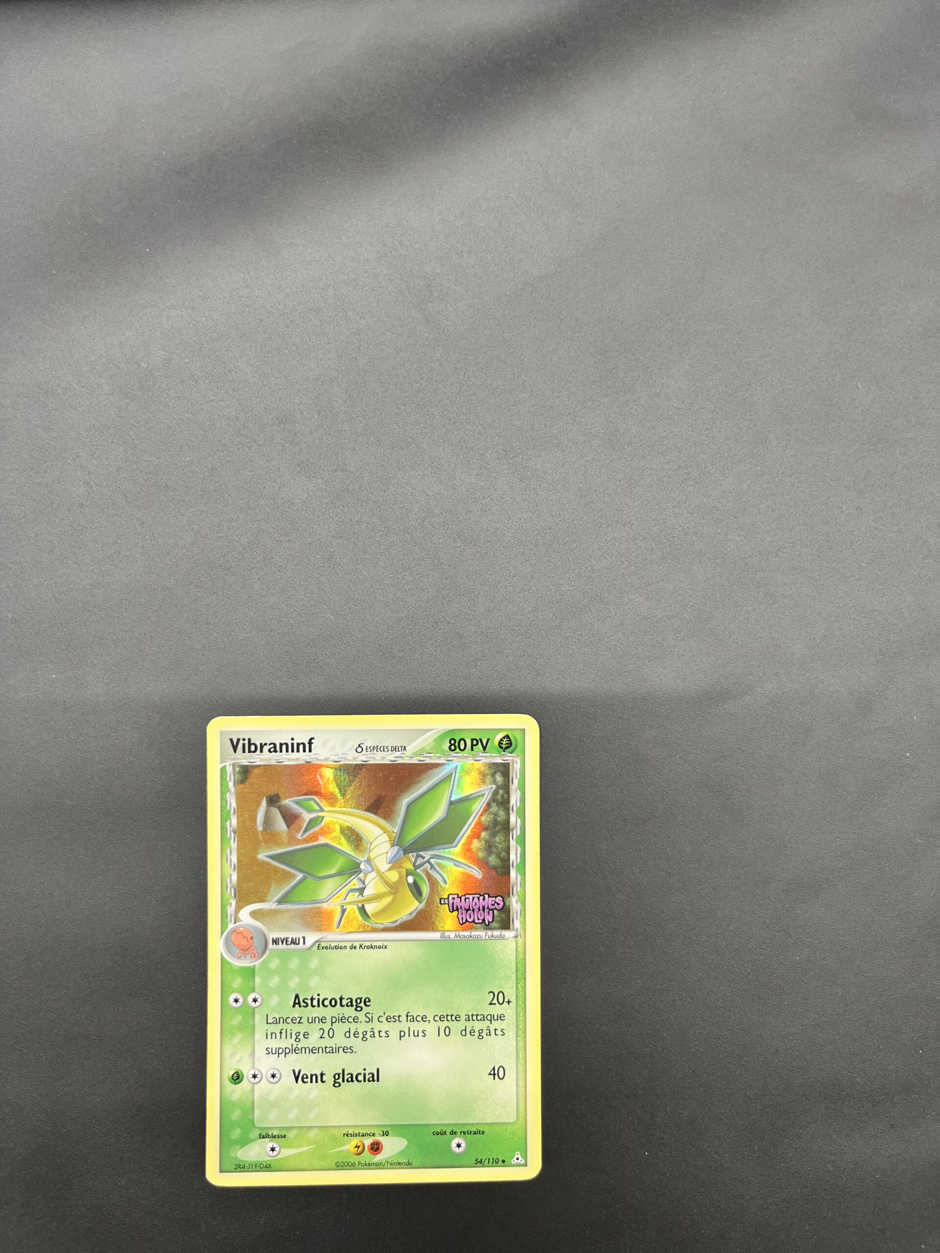 Vibraninf reverse 54/110 Fantomes Holon – Image 2