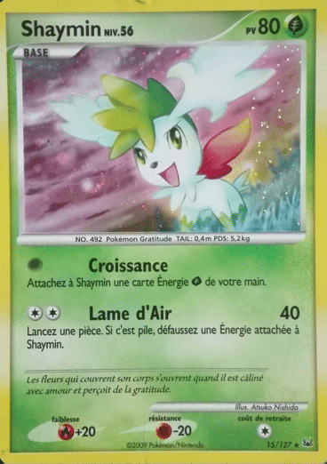 La carte à l'unité Pokémon est un moyen simple et original de collectionner votre série préféré. Les cartes sont protégées.