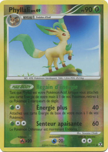 La carte à l'unité Pokémon est un moyen simple et original de collectionner votre série préféré. Les cartes sont protégées.
