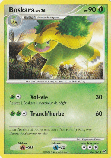 La carte à l'unité Pokémon est un moyen simple et original de collectionner votre série préféré. Les cartes sont protégées.