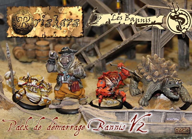 découvrez Briskars : Bannis : Starter V2 , une superbe figurine pour Briskars de nos amis nordistes de TGCM creation