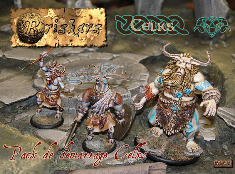 découvrez Briskars: Celks : Starter , une superbe figurine pour Briskars de nos amis nordistes de TGCM creation