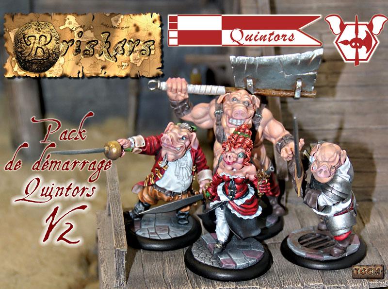 découvrez Briskars: Quintors : Starter V2, une superbe figurine pour Briskars de nos amis nordistes de TGCM creation