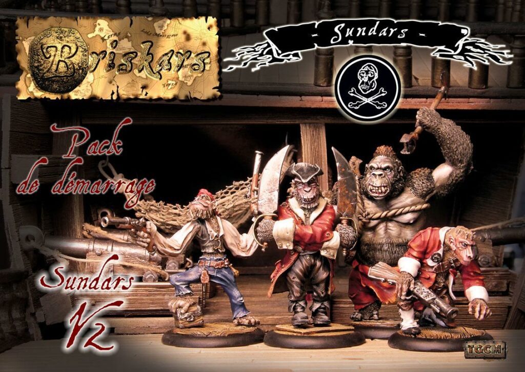découvrez Briskars: Sundars :Starter , une superbe figurine pour Briskars de nos amis nordistes de TGCM creation